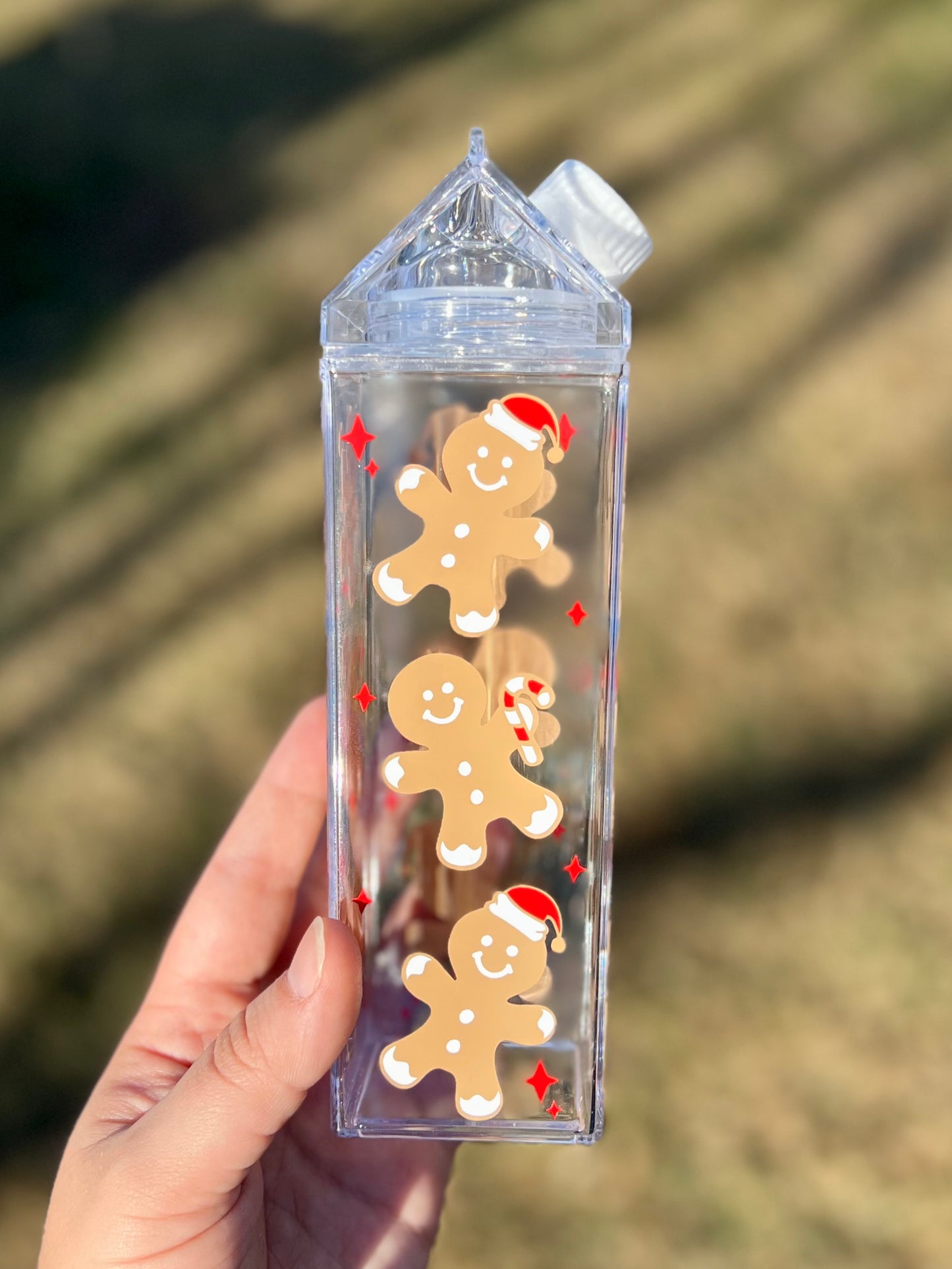 Gingerbread Men Milk Carton